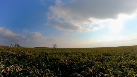 Hierba-Verde-Y-Nubes-Esponjosas-Sopladas-Por-El-Viento-En-El-Campo-Con-Un-árbol-Solitario-Sin-Hojas-En-El-Medio