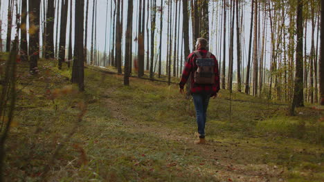 a young man walks uphill from the forest in autumn in slow motion with a backpack. a hipster man in a plaid jacket walks through a beautiful woodland area in an autumn park. high quality 4k footage