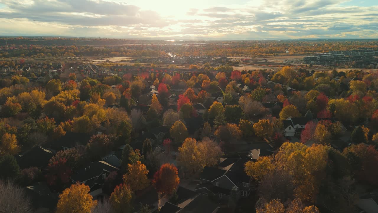 árboles caen en un vecindario familiar durante la puesta del sol