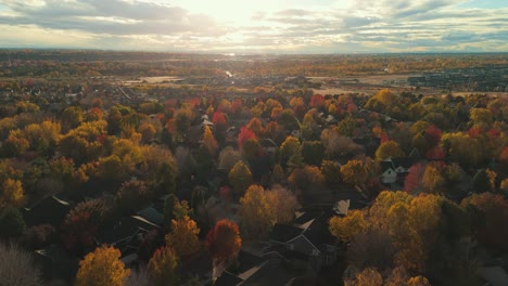fall trees in a family neighborhood during sunset