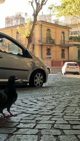 a pigeon interacts with passing pedestrians