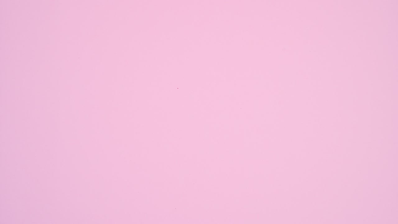 Rose petals making heart shape on pastel pink theme. Stop motion
