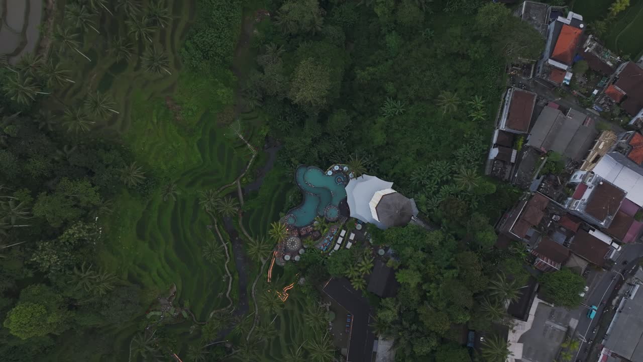 Terrazze di riso panoramiche fiancheggiate da palme e piscina ad Alas Harum, Indonesia