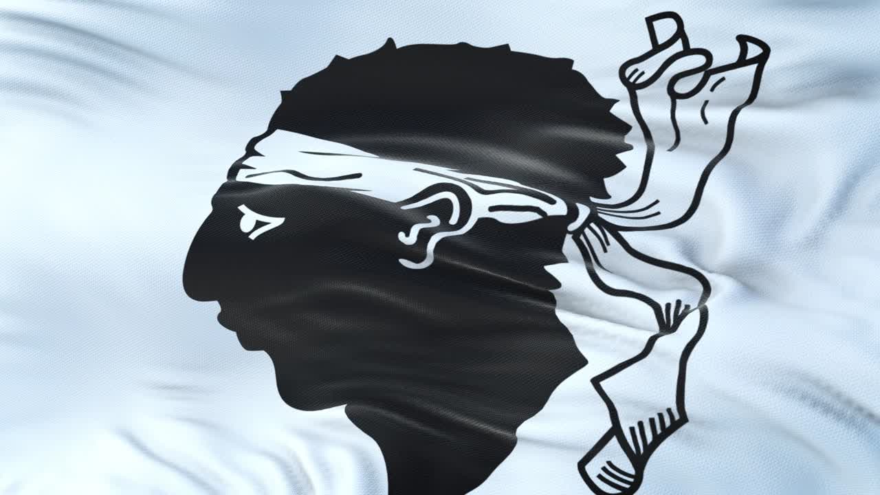 코르시카 (프랑스의 지역) 발은 매우 상세한 직물 질감으로 바람에 흔들리고 있습니다.