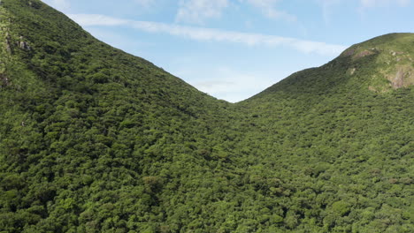 aerial view going up at a rainforest amazon tropical mountain, brazil, south america