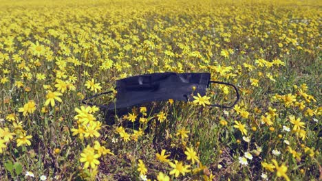 Schwarze-Covid-Gesichtsmaske-Streut-Windiges-Gelbes-Wildblumengras-Im-Park