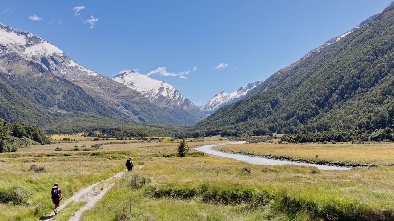 Belle vue panoramique sur des montagnes escarpées, une forêt verdoyante et une rivière tressée serpentant à travers une vallée alpine. Photo prise par une journée ensoleillée en Nouvelle-Zélande, avec des randonneurs explorant la région.