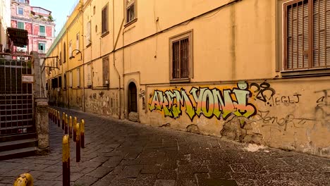 graffiti-covered alleyway with trash bins and buildings