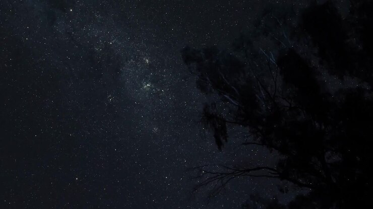 Time-lapse di stelle che si muovono dietro alberi in silhouette