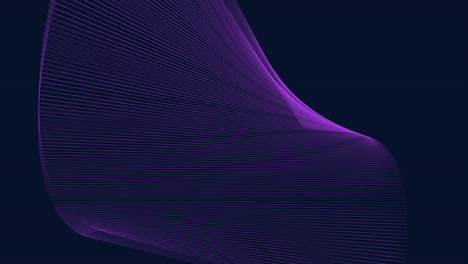 purple wavy line on dark background mysterious abstraction