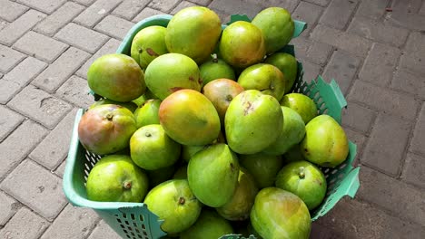 Fresh-delicious-tropical-green-mangoes-at-the-local-fruit-and-vegetable-produce-market-in-Dili,-Timor-Leste,-Southeast-Asia