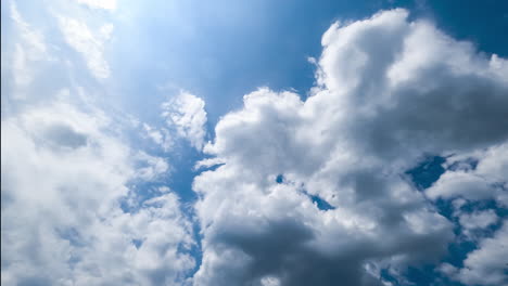 white and grey clouds transforming quickly in the blue sky. sunny day cloudscape timelapse from low angle view.