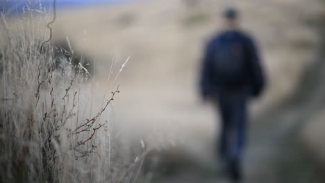 건조 한 고지대 의 길 을 따라 고 있는 산책자