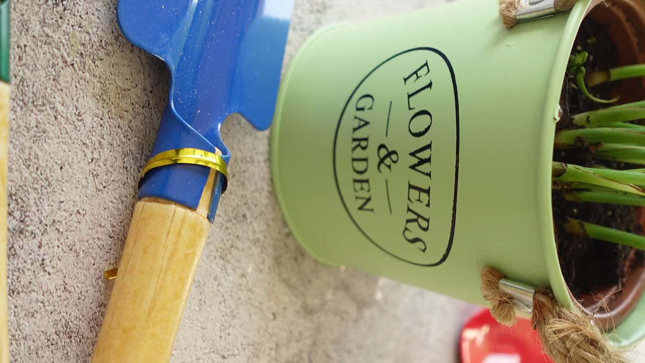 herramientas de jardinería y una planta en olla