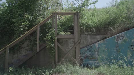 medium day exterior of overgrown wooden staircase