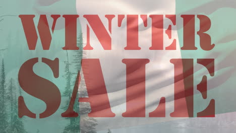 animation of winter sale text over waving flag of nigeria