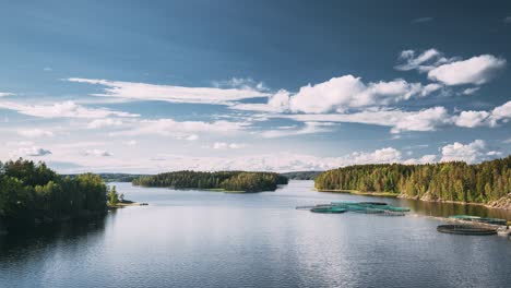 fisheries, fish farm in summer lake or river in beautiful summer sunny day. swedish nature, sweden