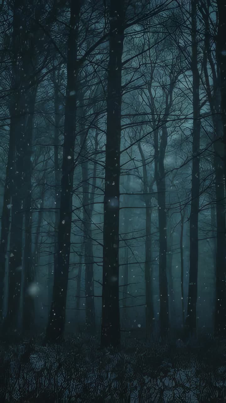 Video verticale: neve trasportata dal vento tra tronchi spogli e rami nella foresta invernale con la nebbia che si deposita