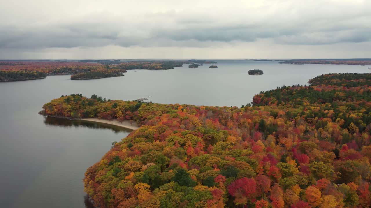 북미의 큰 호수, 휴런 호수 옆의 모든 색상의 숲 나무 꼭대기