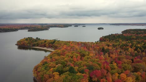 forest treetops in all colors by the great lakes of north america, lake huron