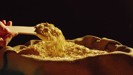 pouring and scooping oats from a burlap sack
