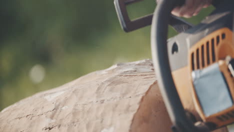 Cutting Wood Man Using Chainsaw 