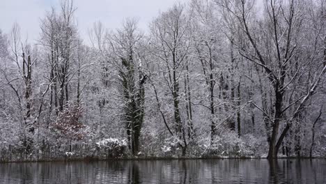 beautiful winter landscape with calm lake water reflecting trees covered in white snow