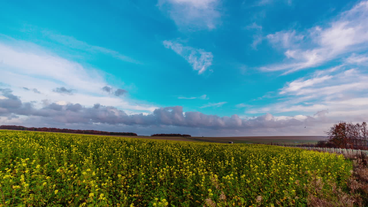 영국 윌트셔의 솔즈베리 평원에 있는 선사 시대 기념물 스톤헨지 주변의 들판의 4k 타임랩스