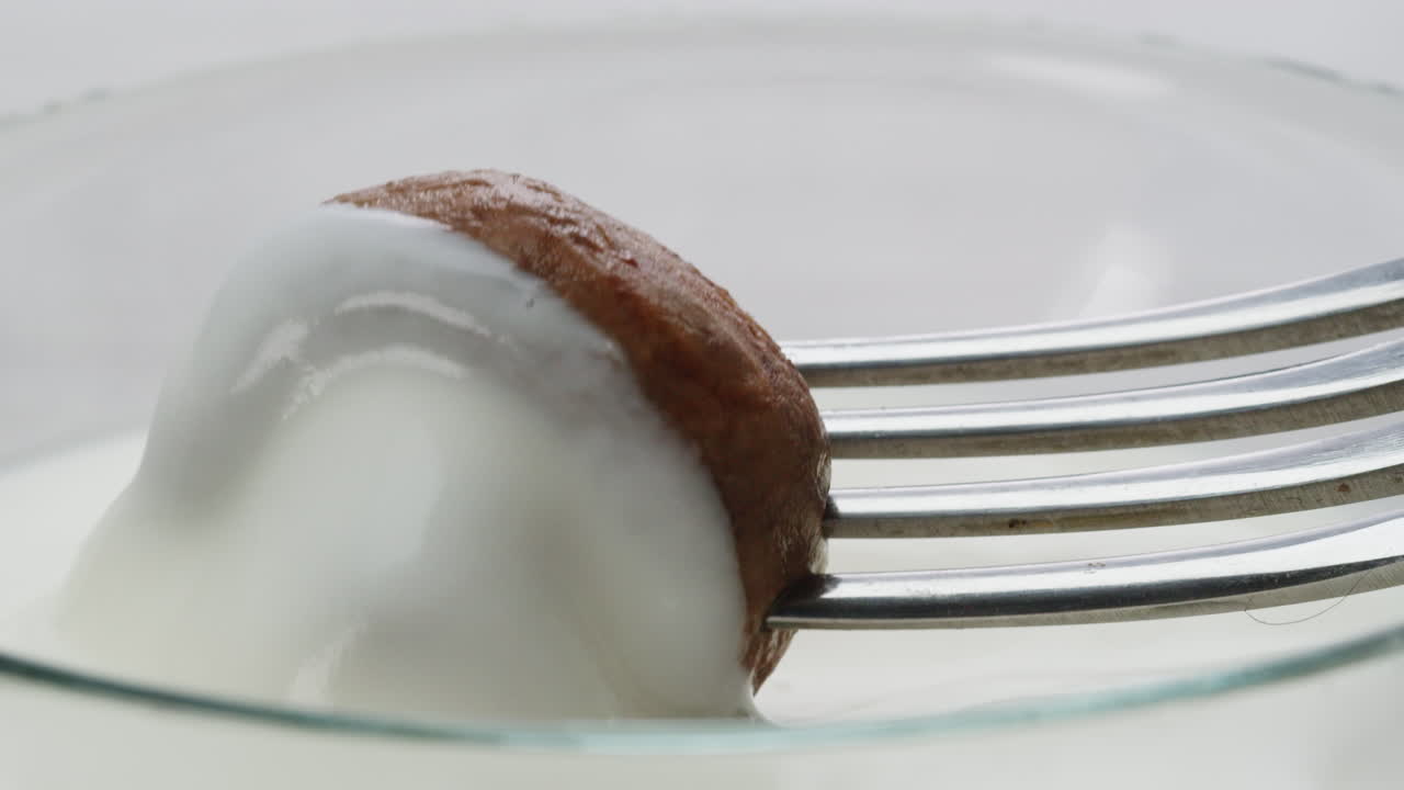 Mushroom in Yogurt Sauce