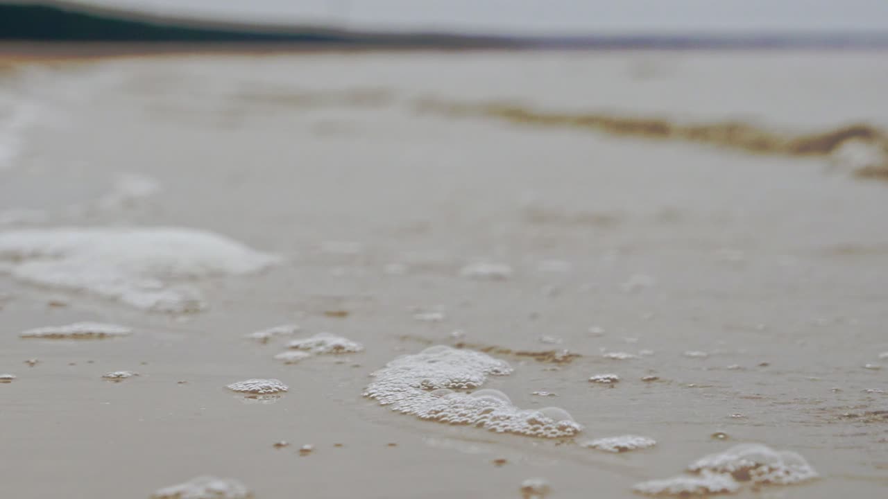 라트비아의 모래 언덕과 소나무 숲이 있는 발트해 연안