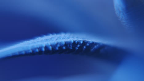 extreme close up of aloe vera leaf in blue moving light on macro slider