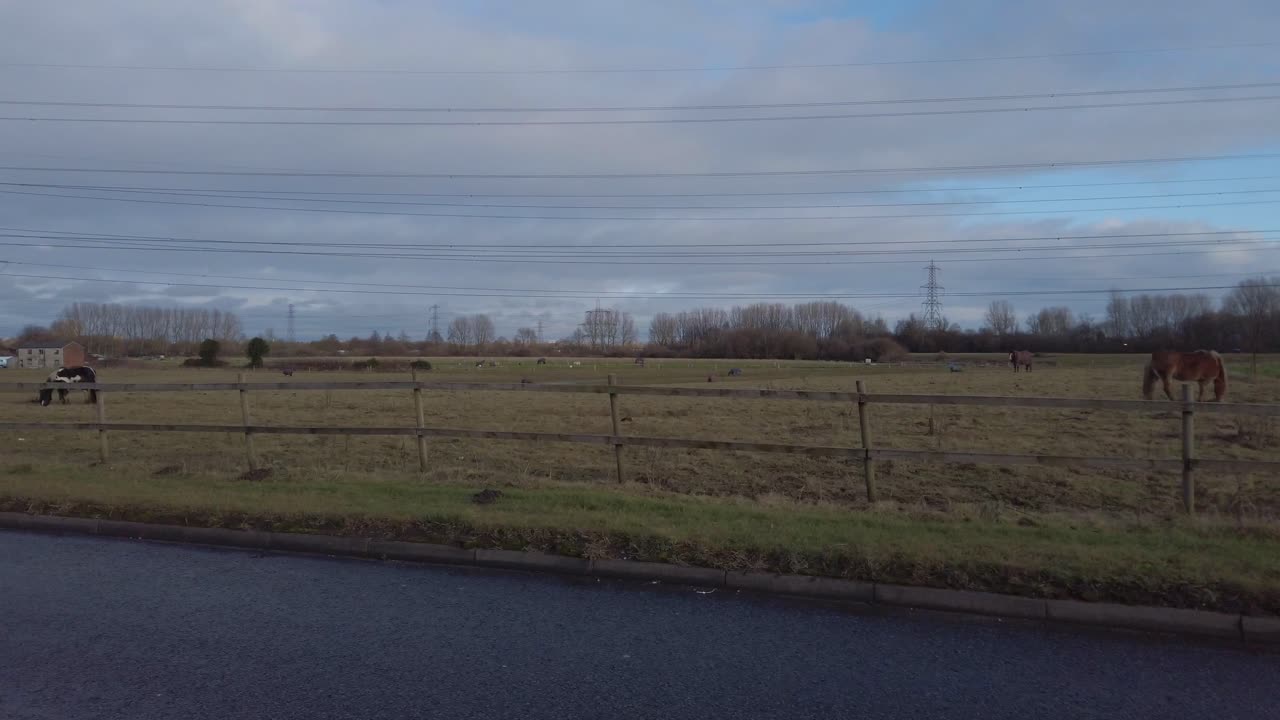 메인 전기 철탑 공급 아래에서 방목하는 말과 함께 농민 필드의 추적 샷