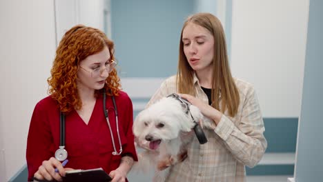 Close-up,-a-confident-girl-veterinarian-in-a-red-uniform-communicates-with-the-owner-of-a-white-blonde-dog-in-a-veterinary-clinic-after-an-examination