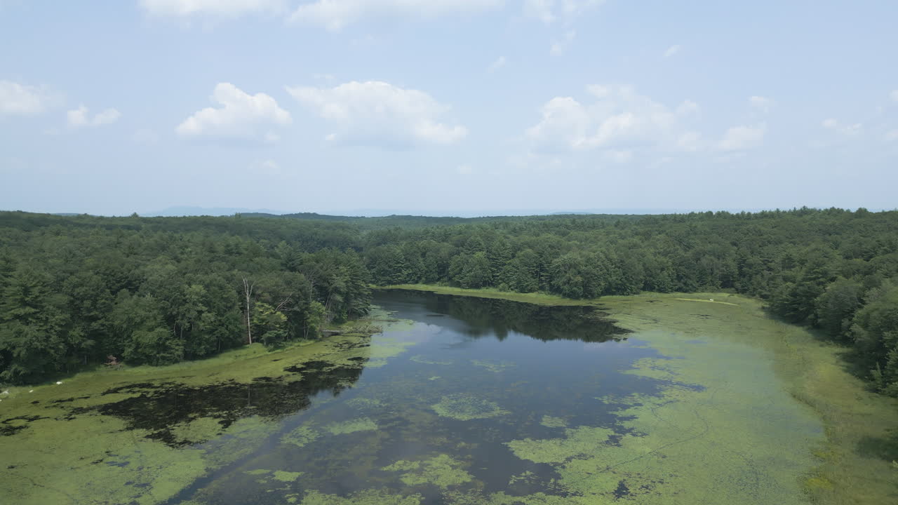 Aerial dolly over lake covered with invasive water chestnut plants, Lake Fitzgerald Northampton Massachusetts