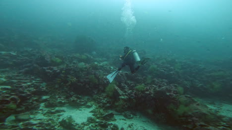 disparo acuático de un buzo explorando