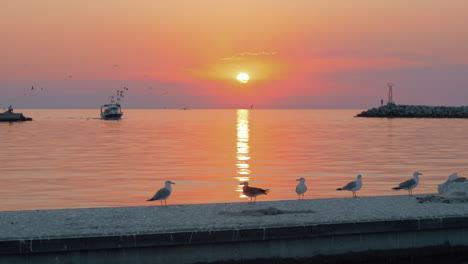 seascape with boat and seagulls at sunset