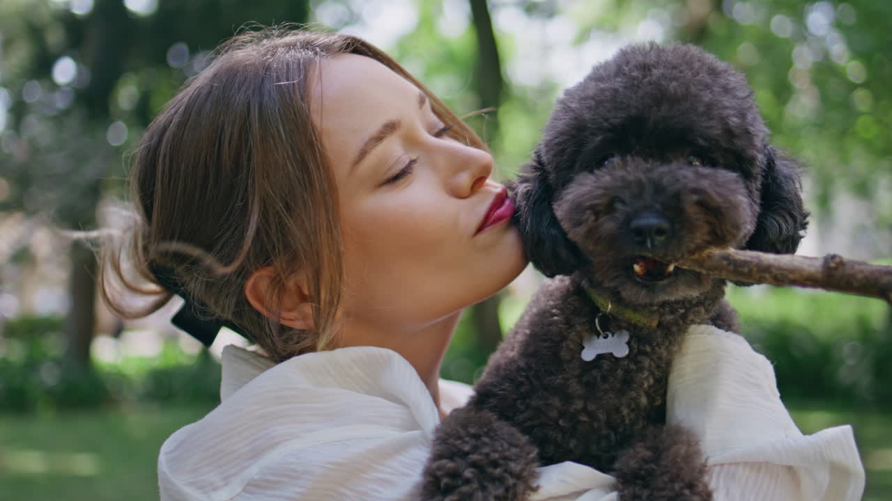 Affectionate girl kissing poodle in park closeup. Joyful woman cuddling puppy
