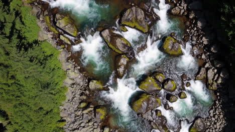 aerial view of rushing river and rocky rapids in a green forest
