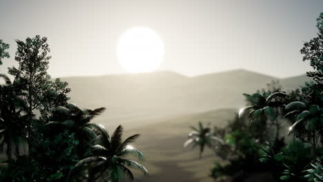 Coco-palm-trees-tropical-landscape