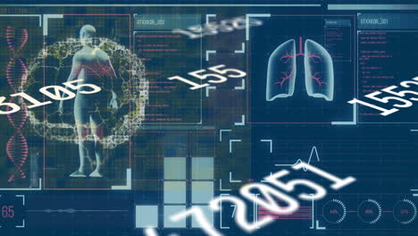 animación de disparo de exposición múltiple de órganos humanos móviles digitales con números y texto