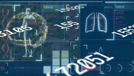 animation of multiple exposure shot of digital moving human organs with numbers and text