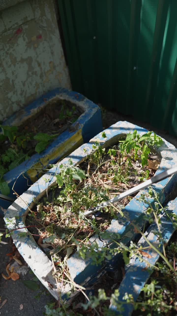 Removing weeds from a planter box