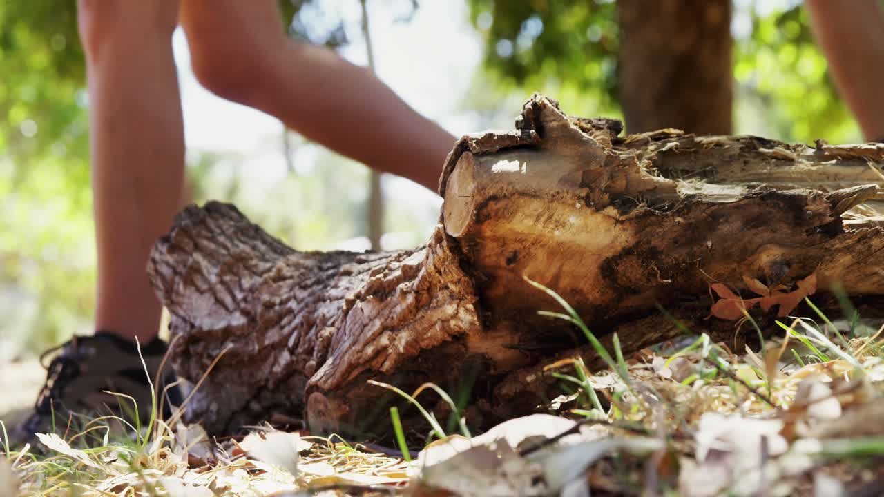 amigos caminando juntos en el parque 4k