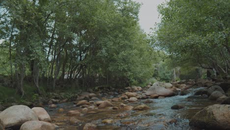 Pequeño-Río-Lleno-De-Rocas,-En-Medio-De-La-Naturaleza