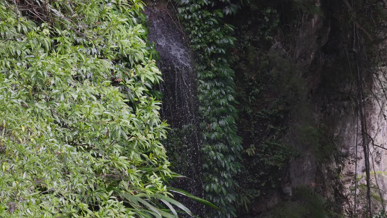 cataratas en cascada a través del frondoso follaje verde