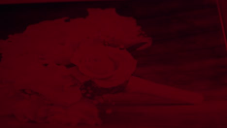 darkroom laboratory photography developing black and whit monochrome photo print under red light