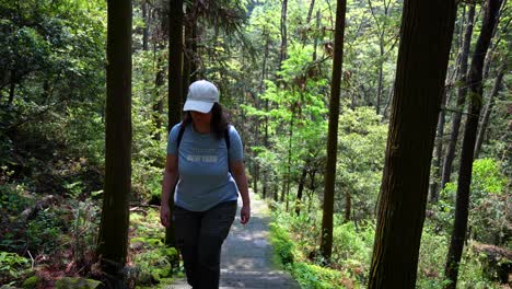 woman hiking in zhangjiajie forest surrounded by tall trees at daytime, china