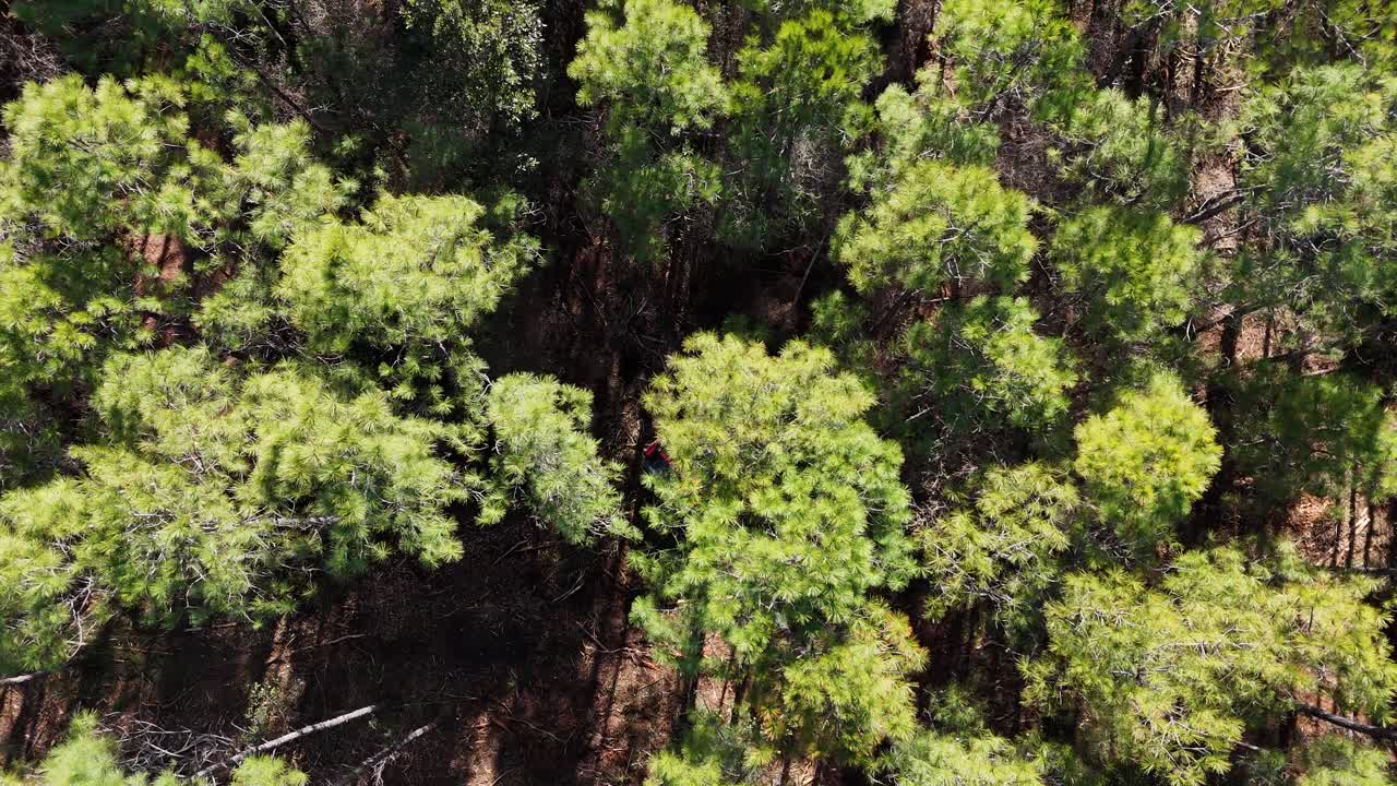 Off-road køretøj kører gennem tæt skov, set fra luften
