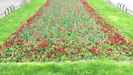 City-Park-Garden-with-Flowers