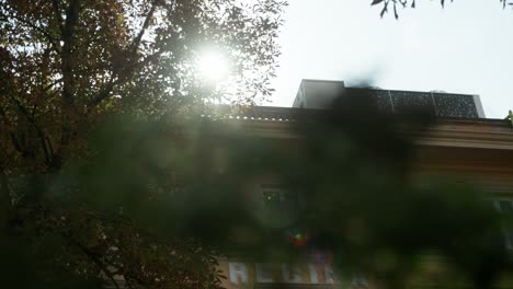 Slow-motion-dolly-with-sun-and-flares-fighting-through-tree-branches